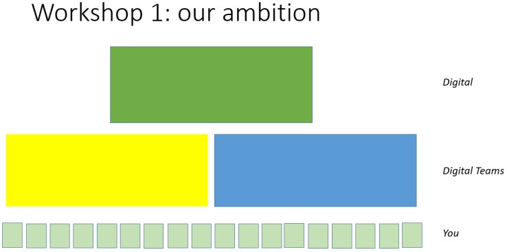 Workshop 1 Our ambitions